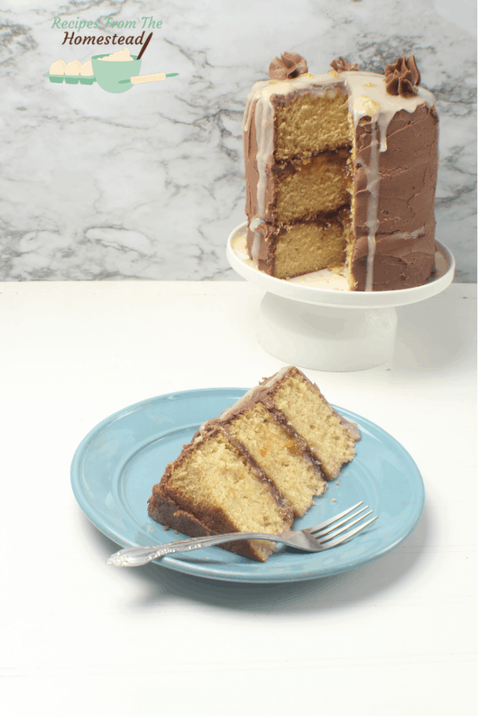 ginger chocolate peach cake