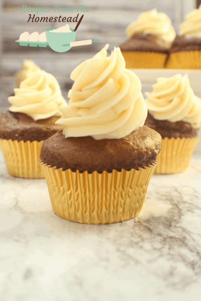 ginger chocolate cupcakes
