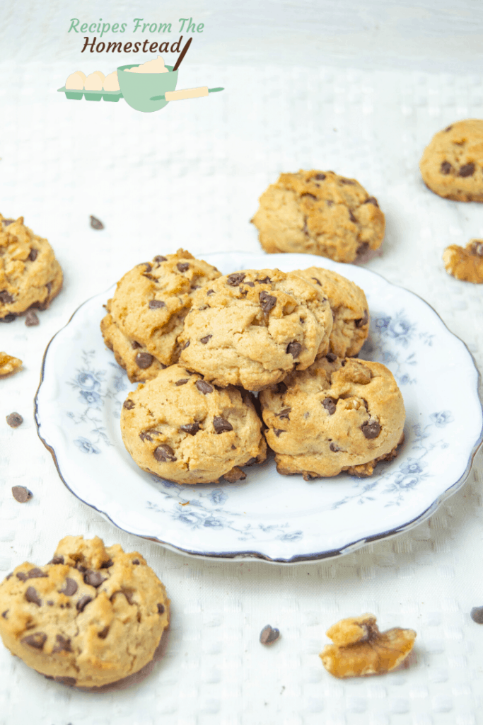 Mini Chocolate Chip Walnut Cookies