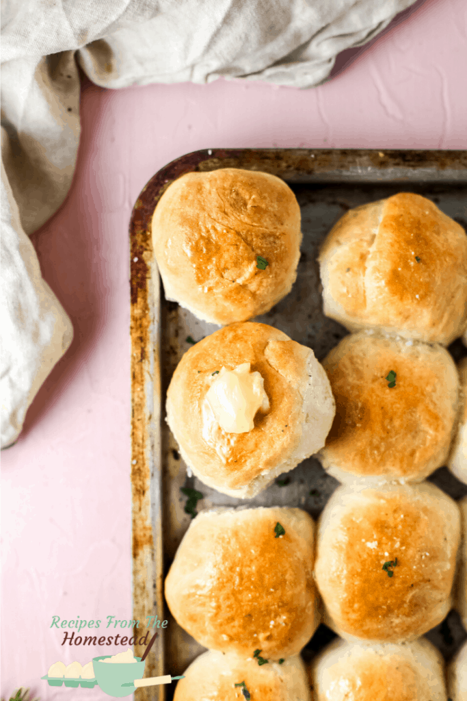 dinner rolls with pat of butter